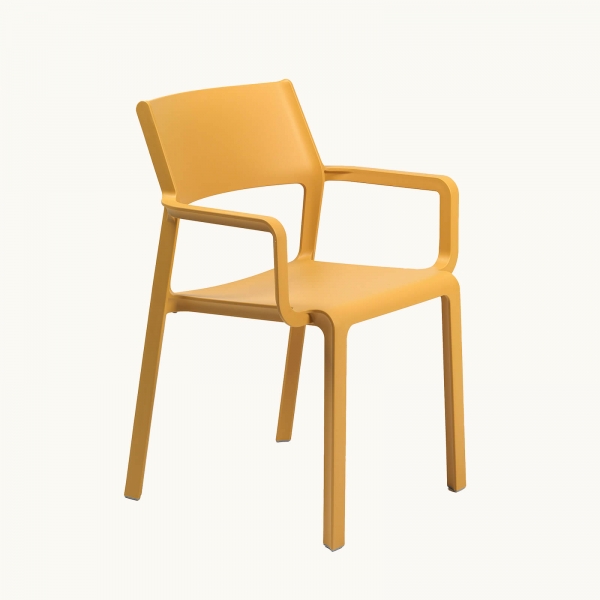 fond beige - 10
